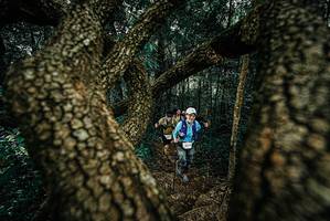 BIB: 
                            <button type="button" onclick="openModal(25698068)" class="btn btn-primary btn-sm float-right btn-popup" data-toggle="modal" data-target=".modal-high-quality">
                        <i class="fas fa-shopping-cart"></i> Add to Cart
                    </button>
                                            <button type="button" onclick="isThisMe(25698068, true)" class="btn btn-success btn-sm float-right btn-popup btn-isme hidden" data-toggle="tooltip" data-placement="bottom" title="นี่คือรูปของคุณใช่ไหม คลิกที่นี่เพื่อเอาเข้าอัลบั้ม">
                        <i class="fas fa-plus"></i> Add to album
                    </button>
                    <button type="button" onclick="isThisMe(25698068, false)" class="btn btn-warning btn-sm float-right btn-popup btn-isnotme hidden">
                        <i class="fas fa-ban"></i> Remove from album
                    </button>